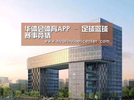 案例展示四