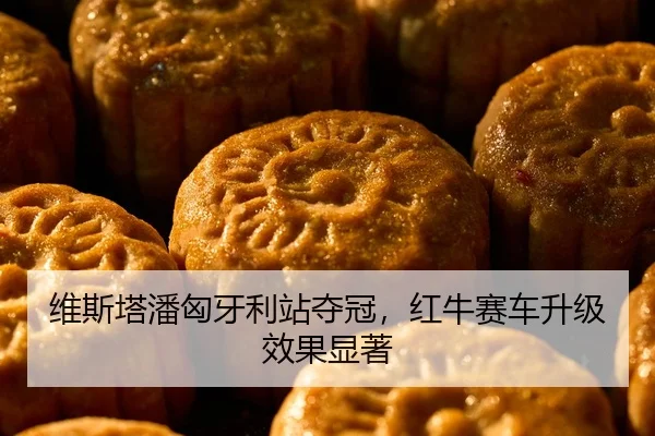 维斯塔潘匈牙利站夺冠，红牛赛车升级效果显著