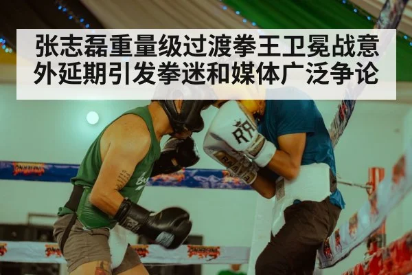 张志磊重量级过渡拳王卫冕战意外延期引发拳迷和媒体广泛争论