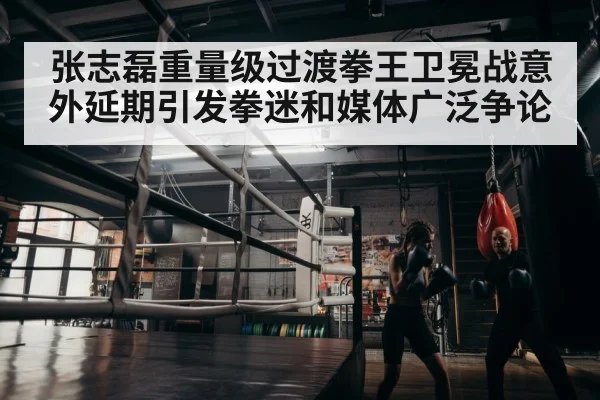 boxer training