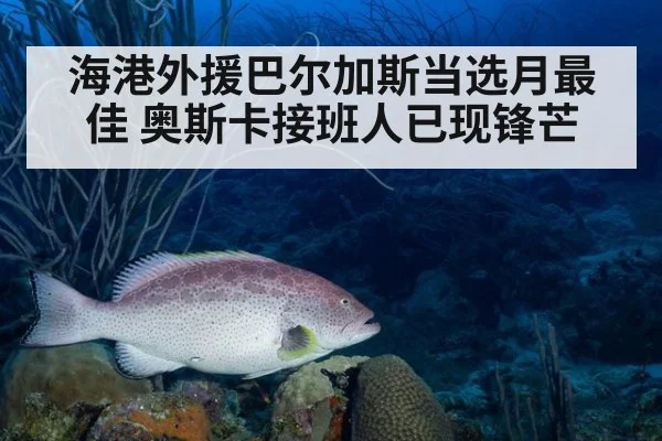 海港外援巴尔加斯当选月最佳 奥斯卡接班人已现锋芒
