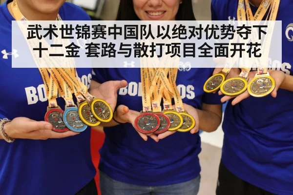 武术世锦赛中国队以绝对优势夺下十二金 套路与散打项目全面开花