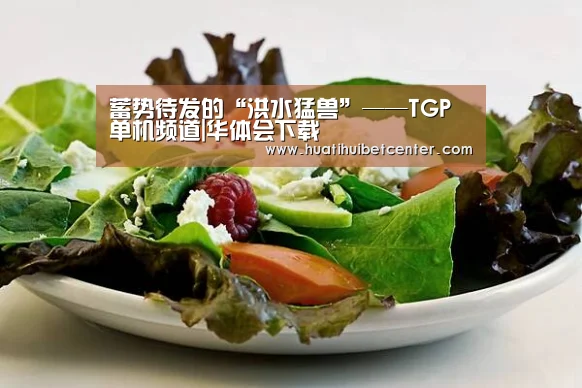 蓄势待发的“洪水猛兽”——TGP单机频道|华体会下载(图3) 华体会官网