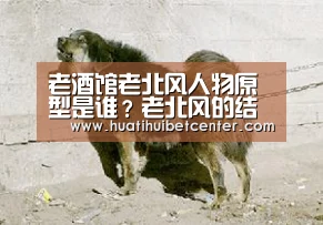 华体会APP