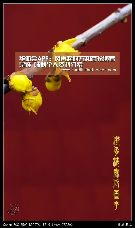 华体会官网
